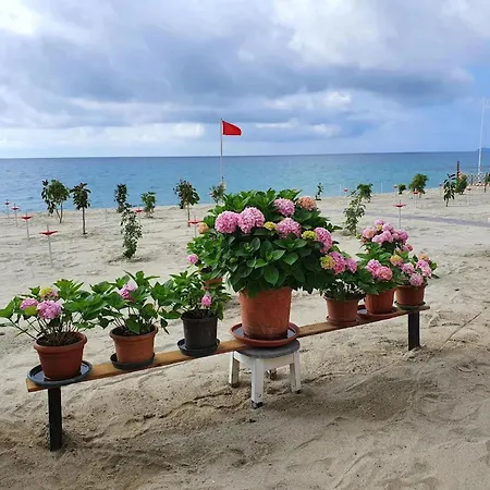 Relaxed Coastal In * Pietra Ligure