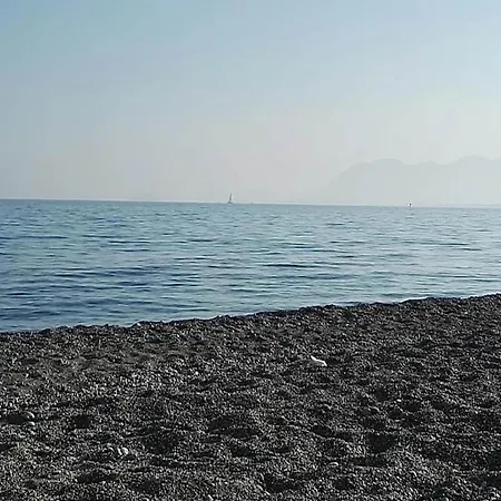 Relaxed Coastal In