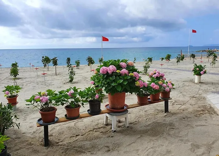 Relaxed Coastal In * بيترا ليغوري